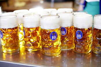 Hofbrau