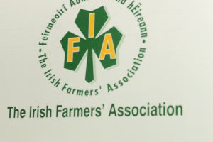 IFA president criticises state bodies for lack of commitment to local food producers