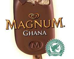 New Magnum Ghana has a layer of milk chocolate, made with 36% cocoa, with hazelnut ice cream and milk chocolate sauce beneath