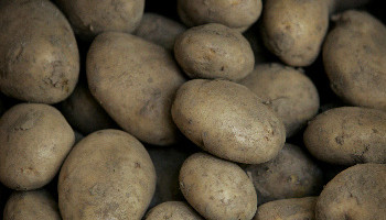 Discounters' super deals on potatoes and other veg harms growers, says the IFA