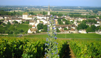 The village of Meursault in Burgundy’s Côte d’Or