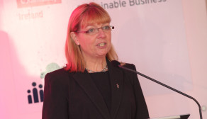 Tina Roche, CEO, Business in the Community Ireland, addressing delegates at the organisation’s 2010 conference