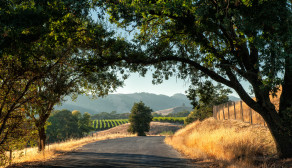 The Wine Institute of California staged their annual tasting in Dublin this year