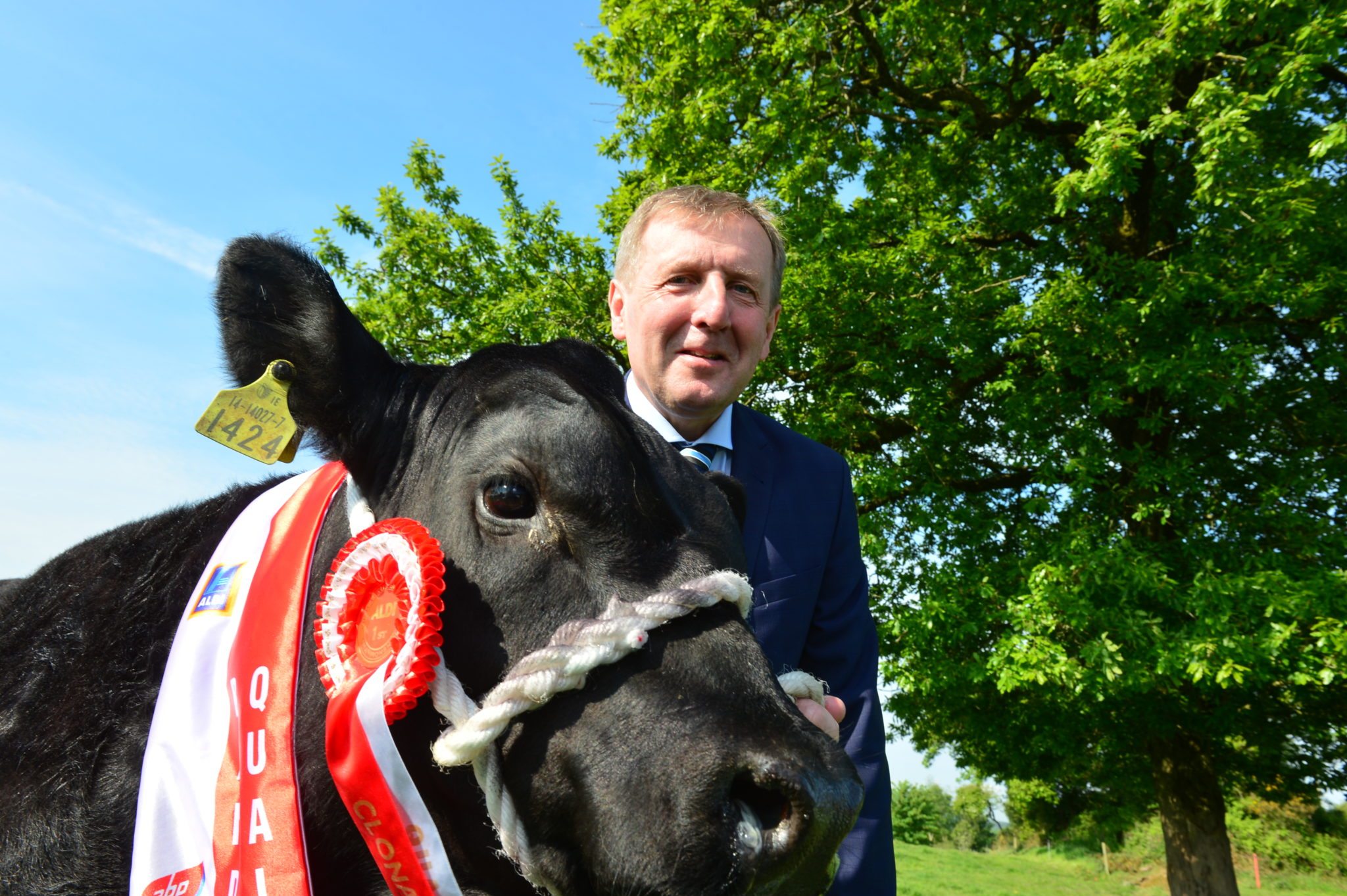 Aldi launches All-Ireland Angus Bull Calf Championship