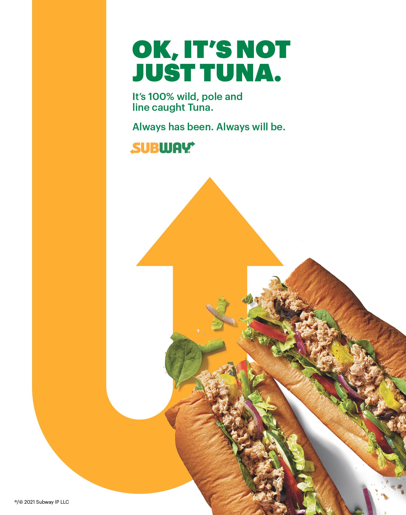 Subway's tuna sandwiches don't contain tuna, new lawsuit claims