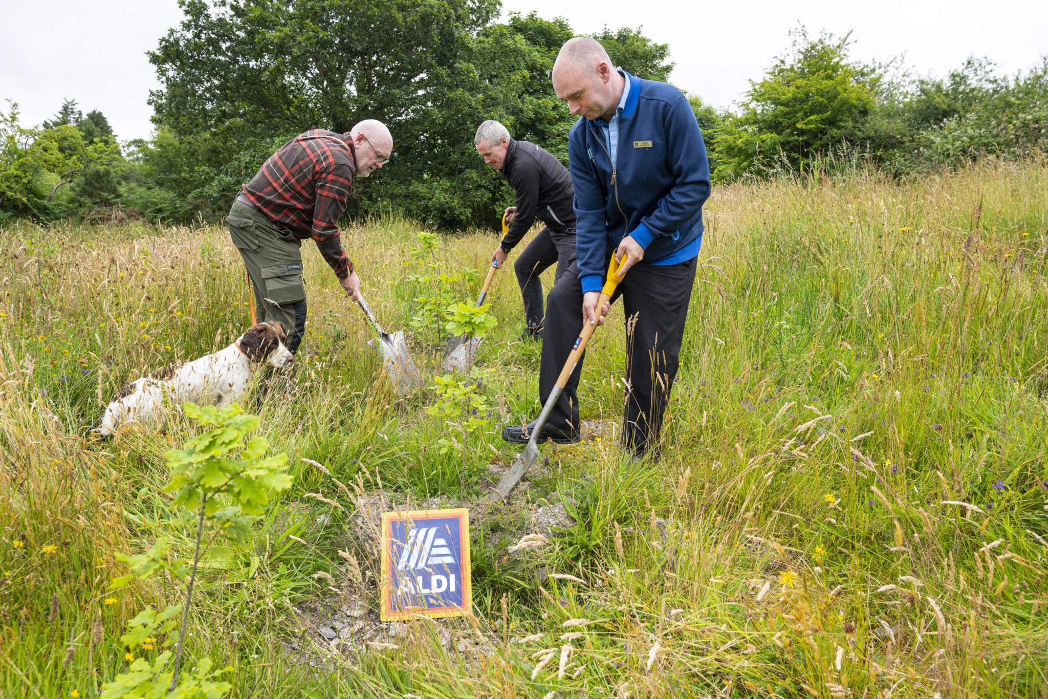 Aldi plants almost 82,000 trees in Cork to mark the opening of new